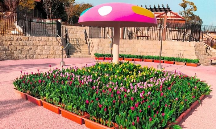 堺・緑のミュージアム ハーベストの丘のチューリップの花壇