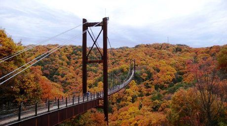 紅葉の時期の星のブランコ