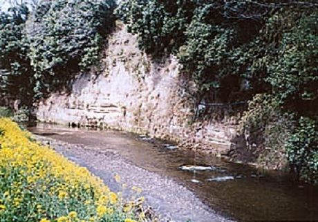 柿山田オートキャンプガーデンの川