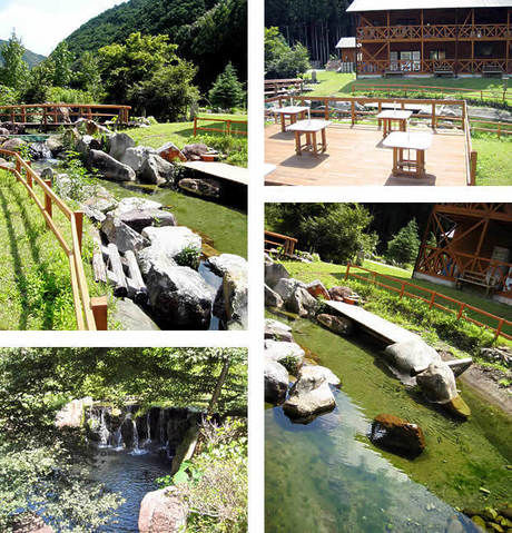 日置川ログハウスキャンプ村ウッディ&リバーの園内の様子