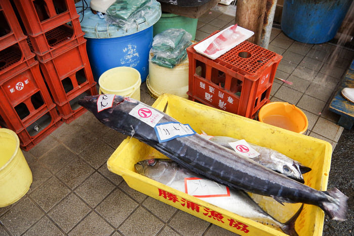 勝浦漁港の海産物