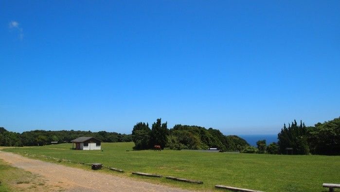 リゾート大島