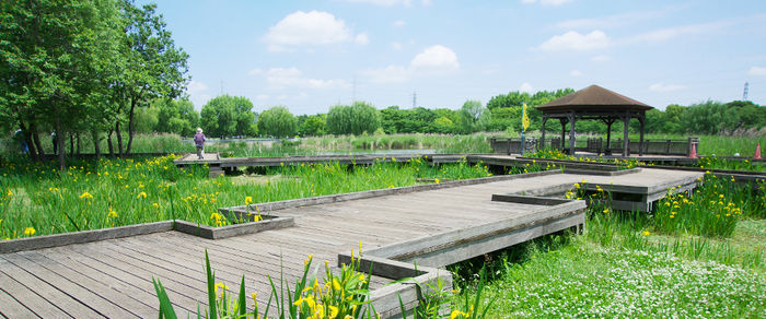 舎人公園の外観