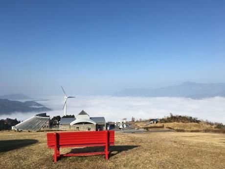 ゆとりすとパークおおとよに出現した雲海