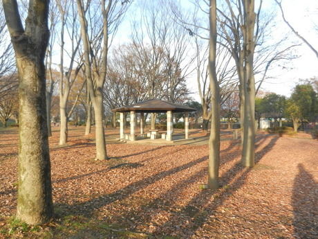釜無川スポーツ公園の外観