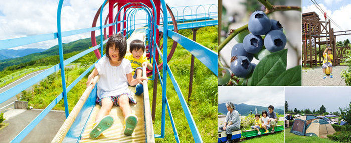 ゆとりすとパークおおとよオートキャンプ場の遊具で遊ぶ子供達
