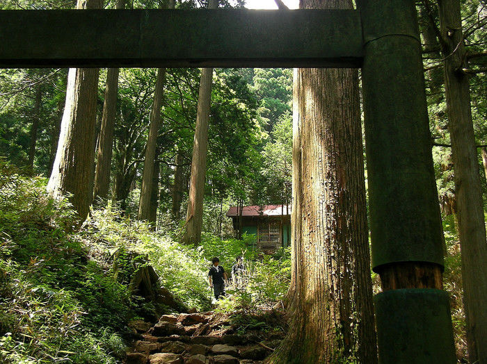 大岳山の林道