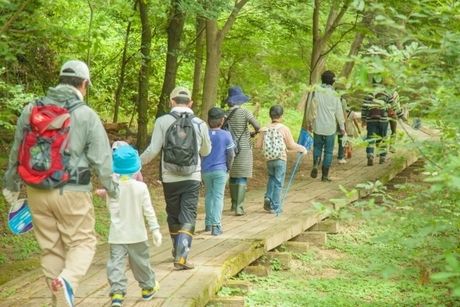 山を歩く人々