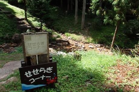 岩湧の森のせせらぎコーナー入り口