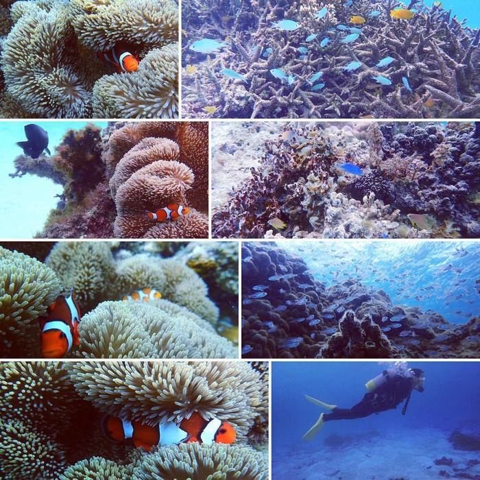 石垣島の海の写真