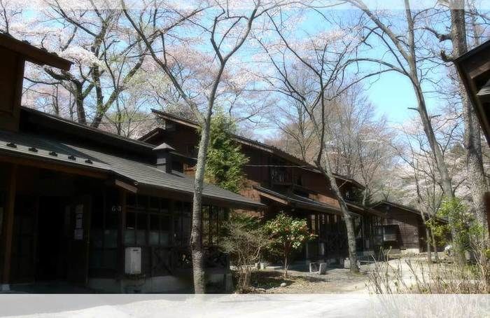 ロッジ村 木の家のコテージ