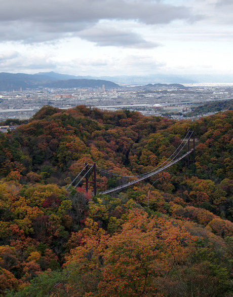ほしだ園地の景観