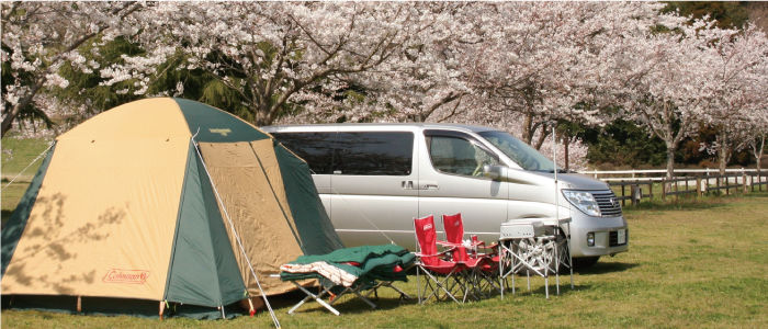 成田ゆめ牧場のオートサイト
