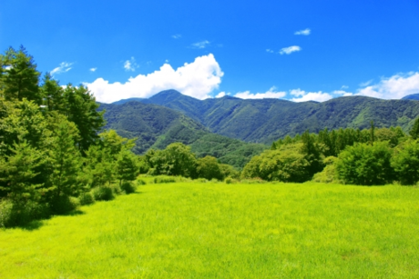 緑の芝生と山々