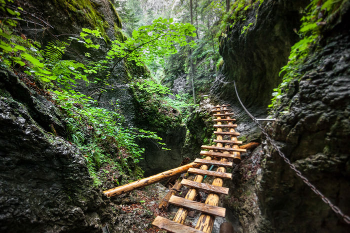 山の岩道にかかる木の橋