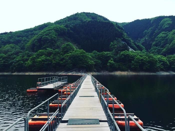 三頭山の揺れ動く橋