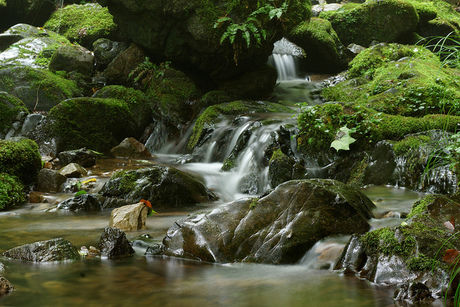 御岳山の川