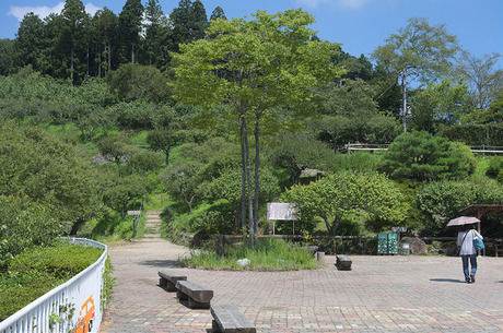 宝登山のハイキングコース入口