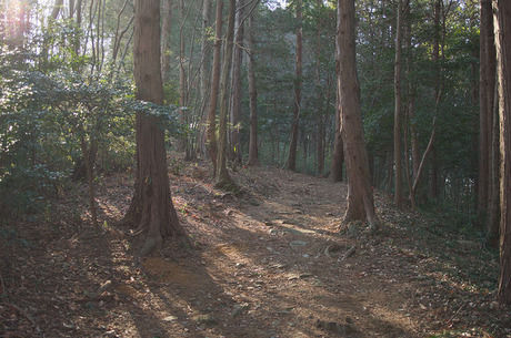 大平山道中