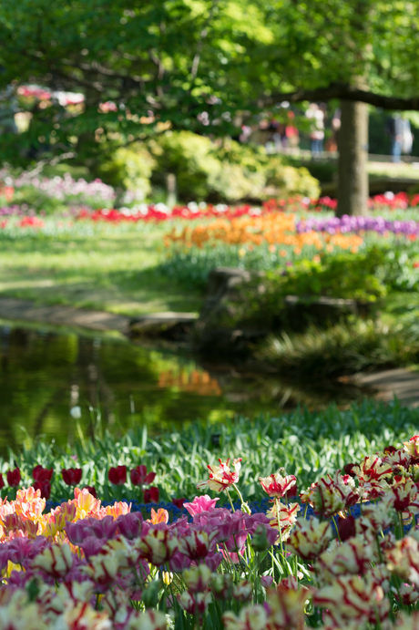 花の都公園