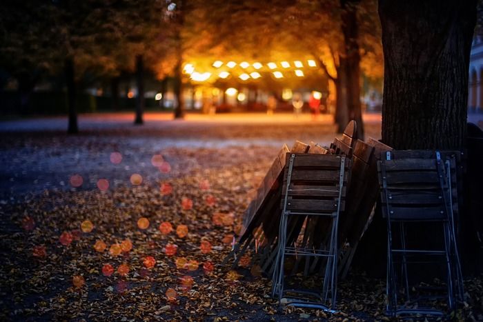 遠くに灯りの見える夜の公園