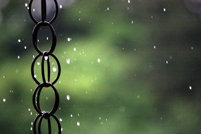 しとしと降る雨