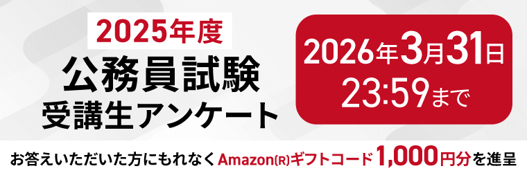 アガルート公務員試験 2024年度 AGAROOT ACADEMY 公務員試験｜【2024年合格目標】＜今から始める！＞速習