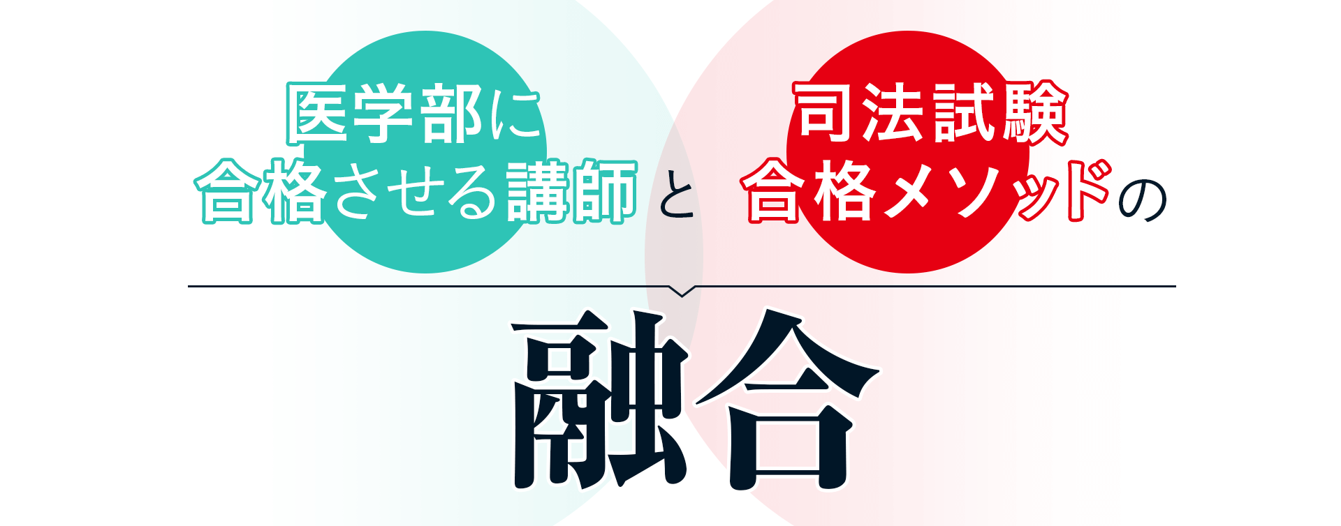 「医学部に合格させる講師」と「司法試験合格メソッド」の融合