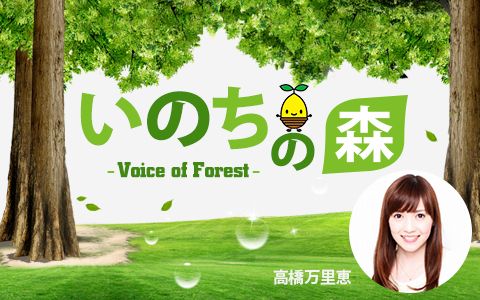 いのちの森 voice of forest