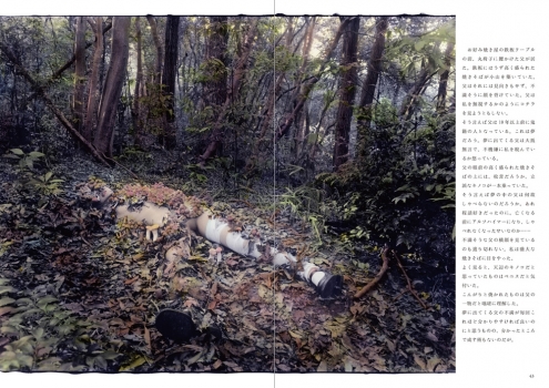 宵待姫十三夜 : 村田兼一写真集 (書苑新社 (発売)) | BookCellar