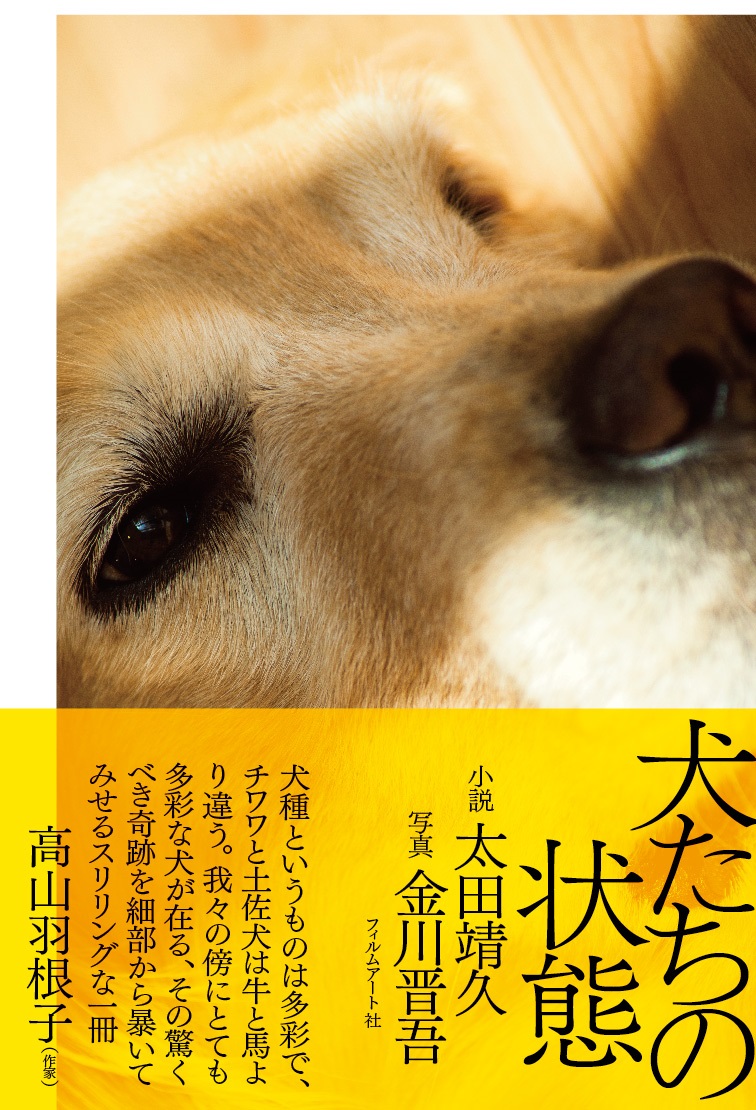 book image