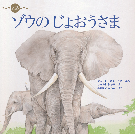 book image
