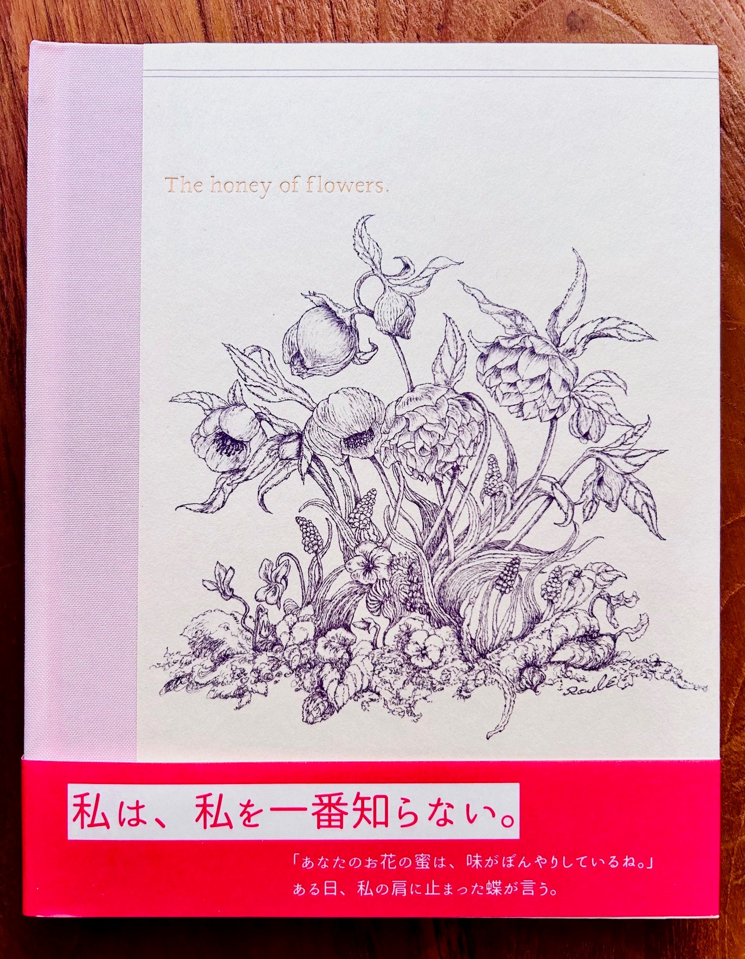 book image