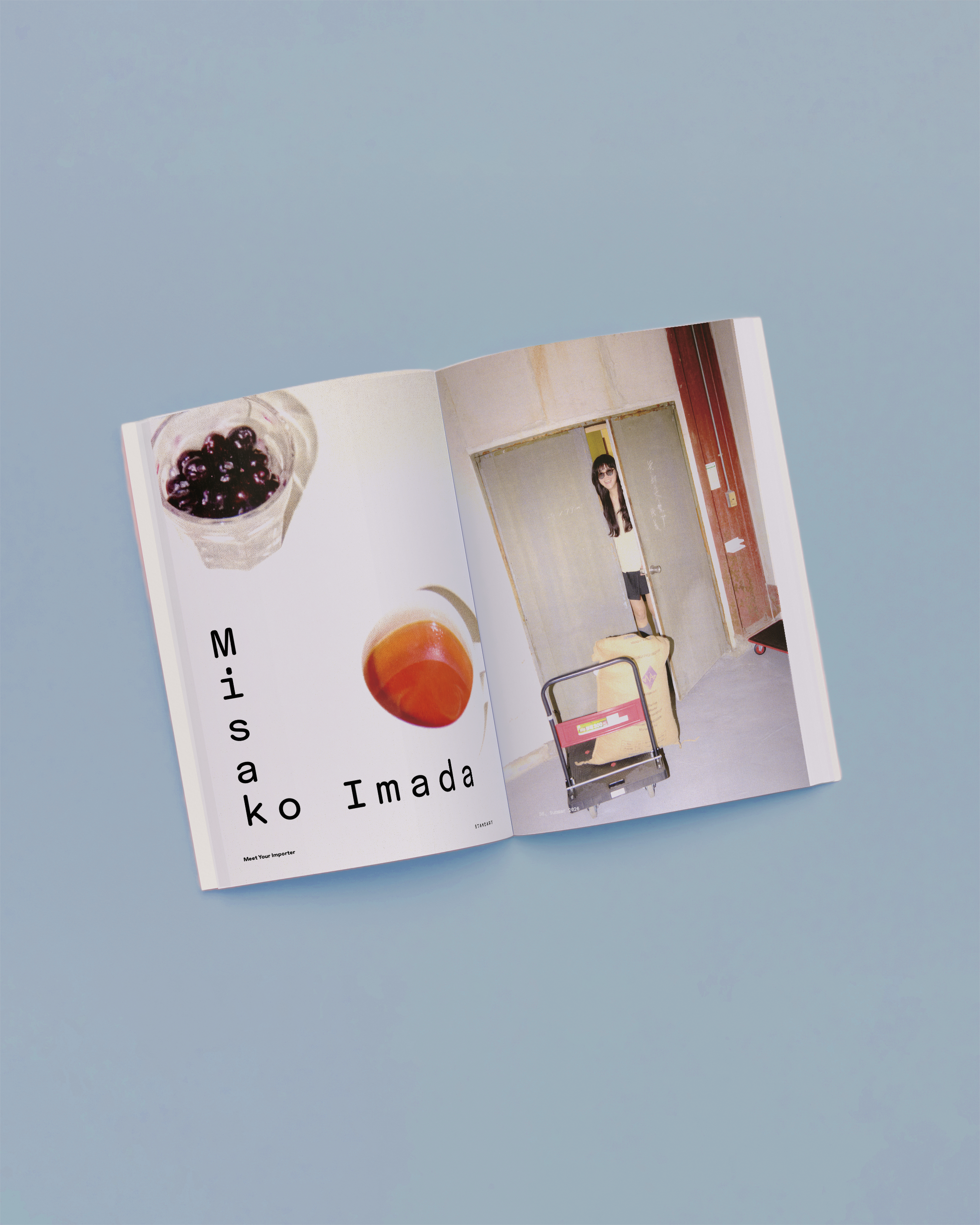 Standart Japan 第36号 (Standart Japan) - 室本 寿和 | BookCellar