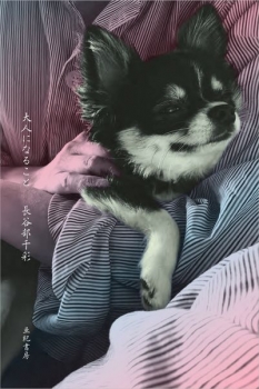 book image