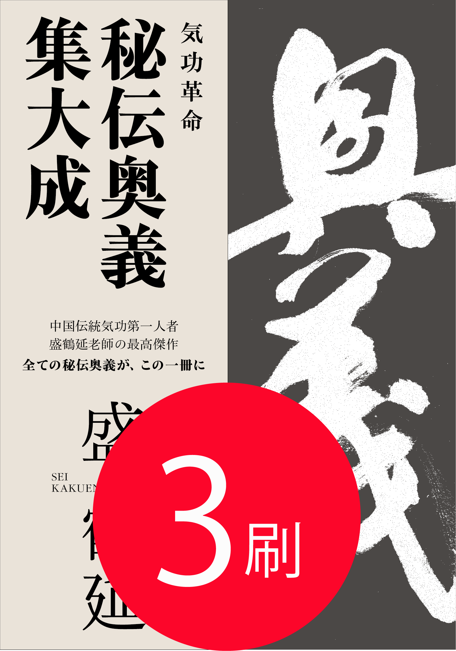 盛 鶴延 秘伝奥義集大成 2枚組 気功革命 秘伝奥義 集大成: 著者自ら出演・解説するⅮVⅮ2枚組付
