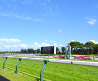 競馬アイテム販売事業の譲渡