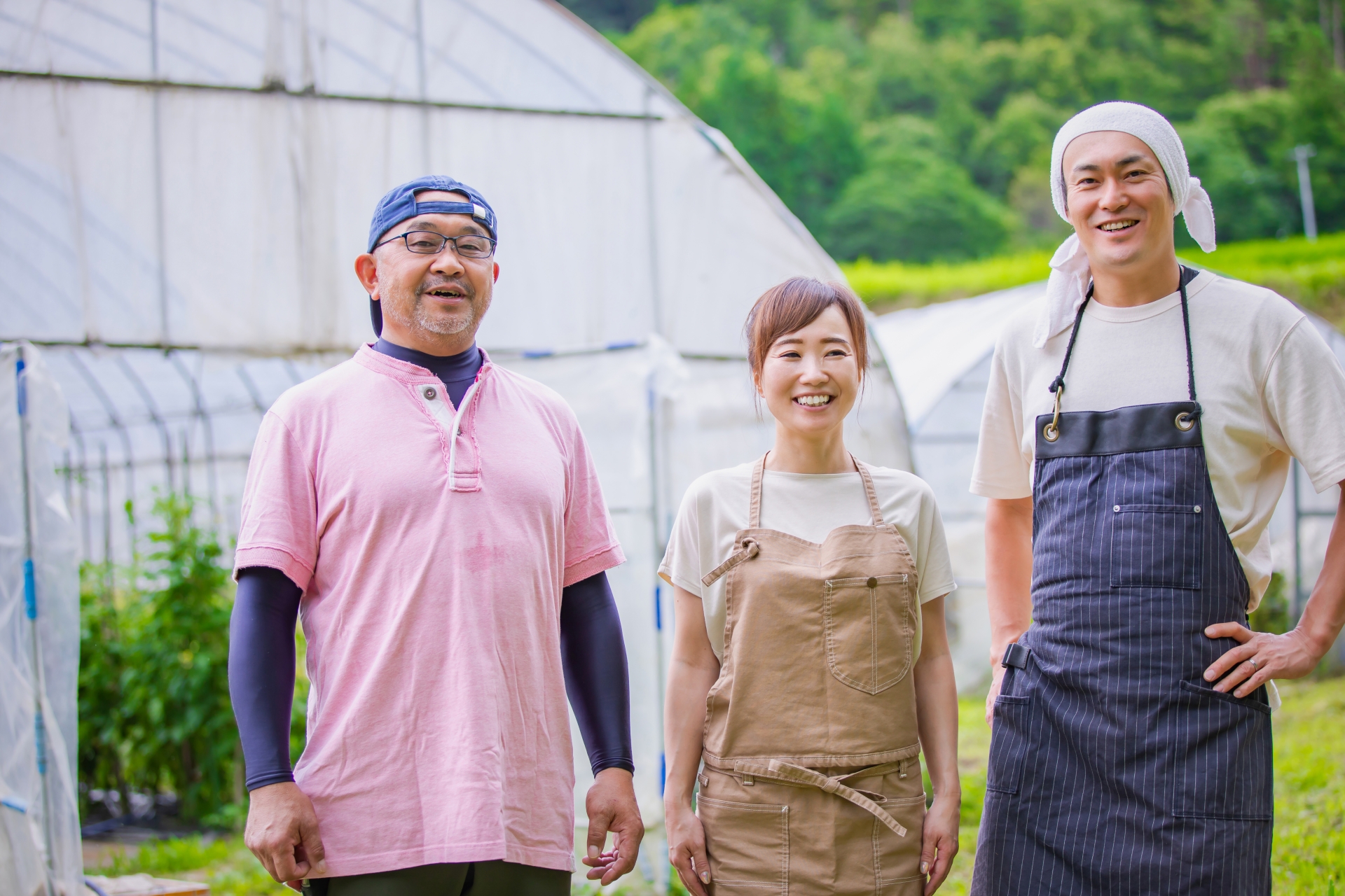野菜農園の株式譲渡