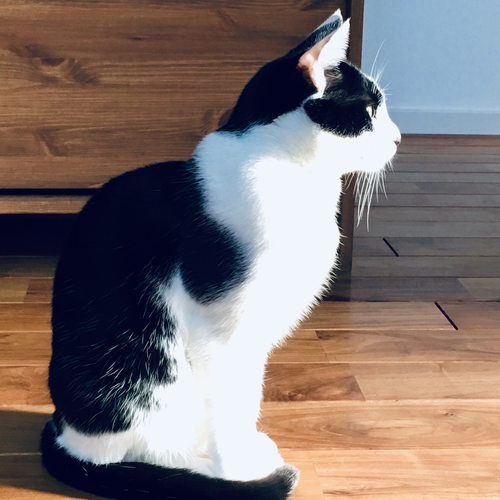 コンサル限定 標準のsmartartを少し変えて イシューツリー ロジックツリー を手軽に書けるようにしたい Qiita