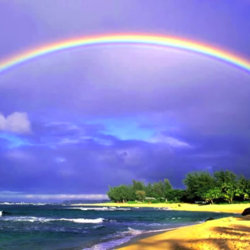 アプリを Docker Docker Compose でコンテナを動かしてみる Qiita