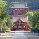 kentaro_tsujino
