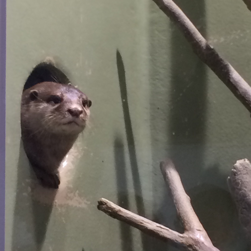 Ruby Leet文字列への変換 Qiita