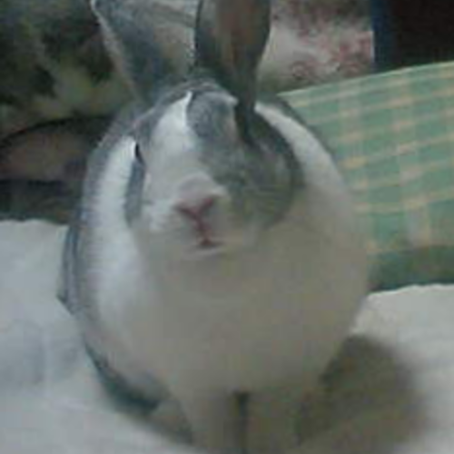 Microsoftアカウントのサインインで無限ループに陥った Qiita