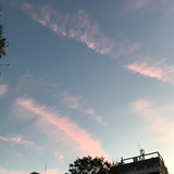 Cakephp3 6でcsvをダウンロードする Qiita