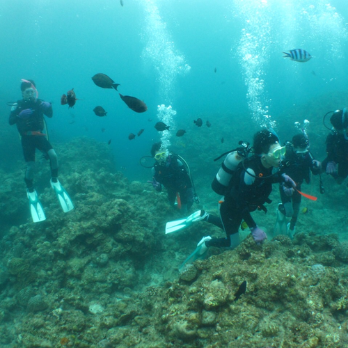 機械学習を用いた株価予測 システム入手編 Qiita