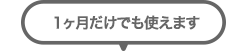 1ヶ月だけでも使えます