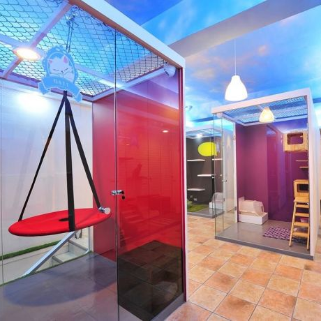 車厄設計 -  車厄設計 -