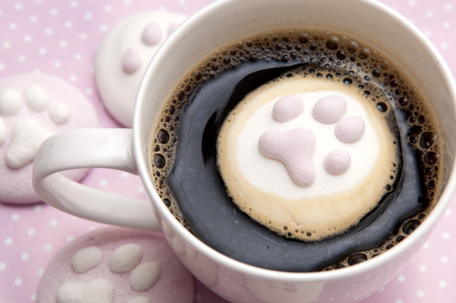 宥恩工作室 - 療癒系列棉花糖產品設計製造