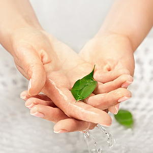 禮部侍郎生命禮儀 - 誠其所托
圓滿其終