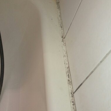 蘋果達人清潔社 - 浴缸除黴菌前